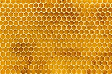 With Its Warm Colors And Simple Arrangement Our Honeycomb Texture