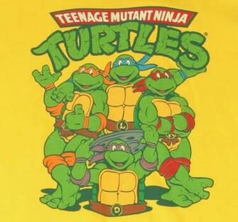 Tmnt Classic T Shirt Hr