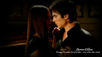 Delena Wallpaper Damon Elena