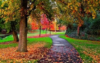 Autumn In The Park