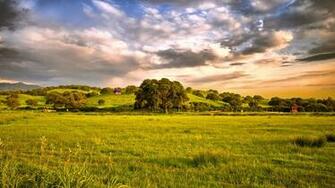 Spring Scenery Full HD Desktop Wallpaper 1080p