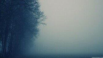 Misty Weather And Trees Wallpaper High Definition