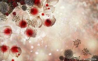 Wallpaper Winter Autumn