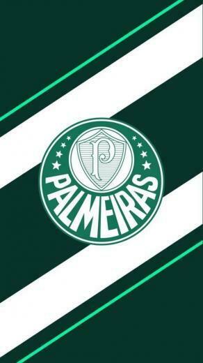 Palmeiras Of Brazil Wallpaper