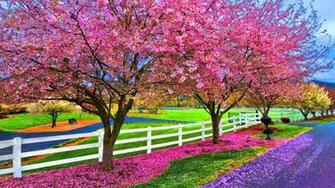 Spring Wallpaper Android Apps On Google Play