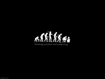 Pics Photos Wallpaper Cat Face Profile Black Background