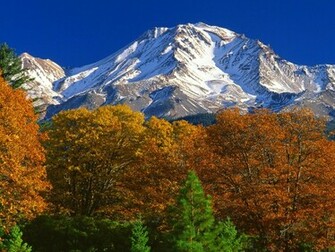 Desktop Wallpaper Autumn Which Is Under The