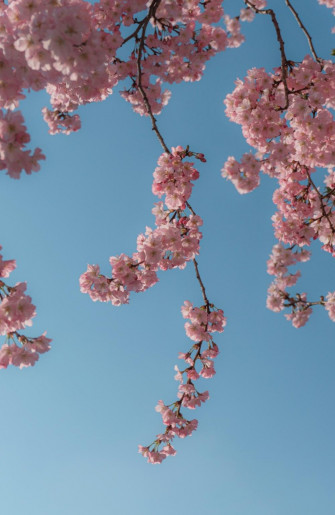 Blue Aesthetic Pictures Image