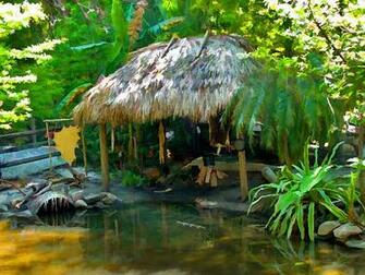 Wallpaper Tiki Huts Are For