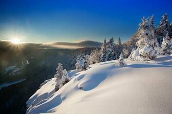 Sunny Winter Day Wallpaper