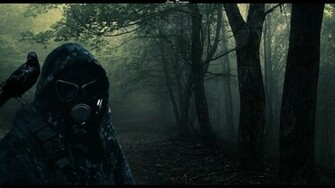 Dark Forest Pictures HD Wallpaper