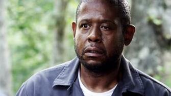Pictures Of Forest Whitaker Celebrities