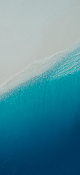 Wallpaper