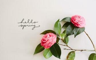 The Hello Spring Wallpaper For Your Desktop Or Laptop