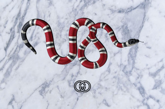 Gucci Wallpaper Trumpwallpaper