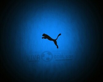 Black Puma Wallpaper Picswallpaper