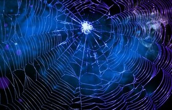 Spider S Web Wallpaper HD Desktopinhq