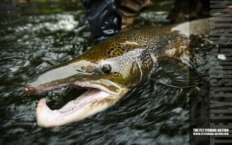 This River Is Wild The Fly Fishing Nation