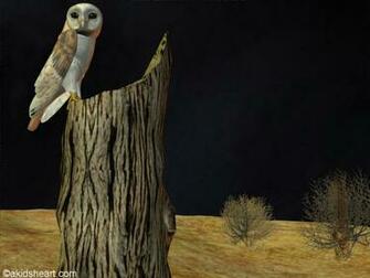 Barn Owl Background My Wallpaper Home