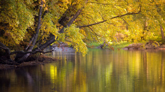HDr 4k Pc Wallpaper Net