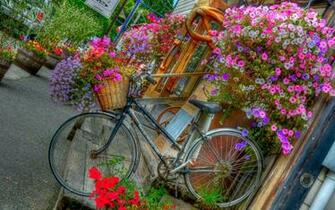 Girl Boy Flower Bicycle HD Beautiful Wallpaperpicture For Desktop