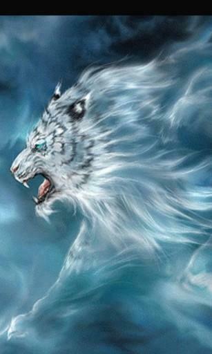 White Lions And Tigers Wallpaper Tags Lion