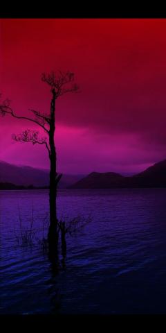 Subtle Bi Wallpaper