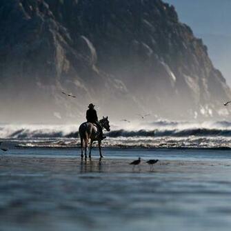 Riding The Horse On Shore Wallpaper