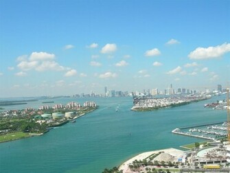 Miami Wallpaper Crazy Frankenstein