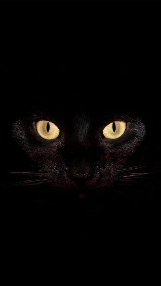 Scary Wallpaper For iPhone