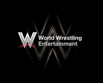 Wwe Logo Fan Redesign Power By Astrofavilla
