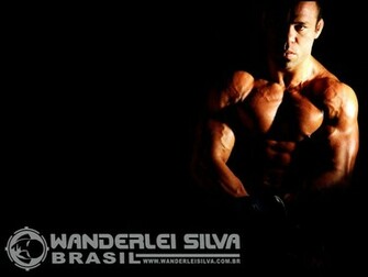 Mma Wallpaper HD