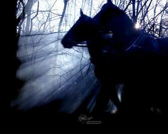 Galloping Horses The Secret Wallpaper