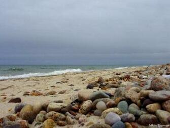 Cape Cod Sandy Neck Beach Go