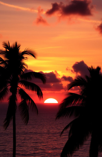 Our Beloved Summer Wallpaper