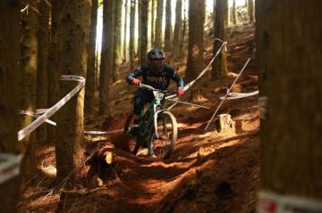 The Trailhead Bicycle Company Posts