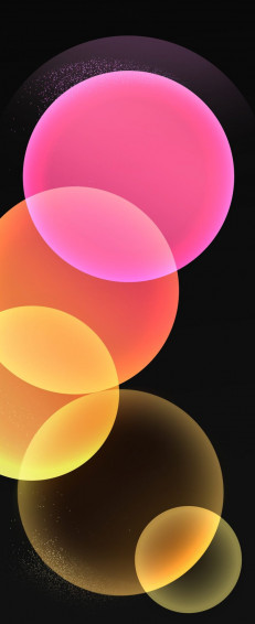 The Samsung Galaxy Z Flip Wallpaper Here