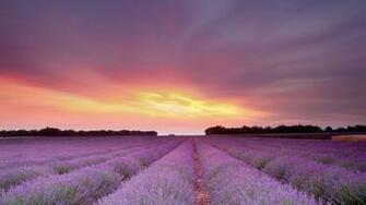 Fields Ultra HD 4k Wallpaper Wide Screen 1080p 2k