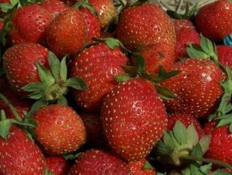 Strawberry Wallpaper Desktop