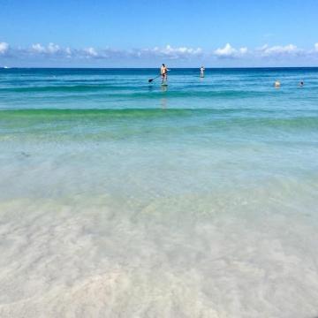 Crescent Beach Rent Siesta Key Fl Condo Rental