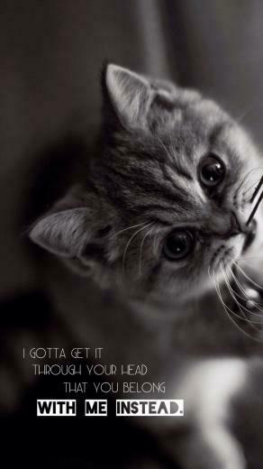 5sos Lyrics Wallpaper Lockscreens Works Best Hi Im Bertha