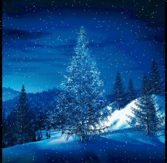 Snow Scenes Moving Wallpaper Grasscloth