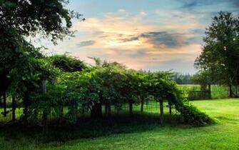 Country Landscape Wallpaper X