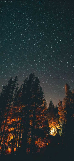 Home Screen Wallpaper