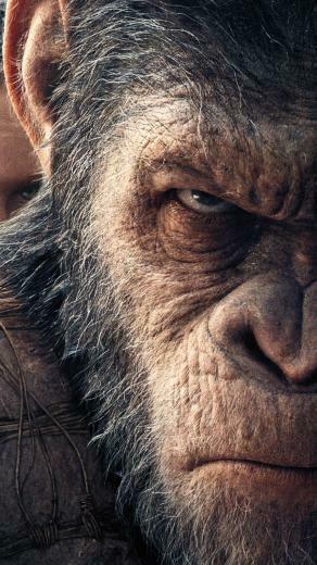 Movie War For The Planet Of Apes Wallpaper Id