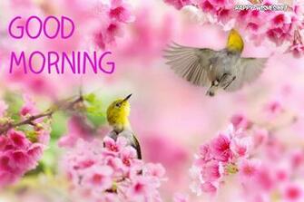 Good Morning Nature Image Beautiful