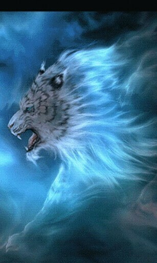 White Liger Live Wallpaper For Android Appszoom