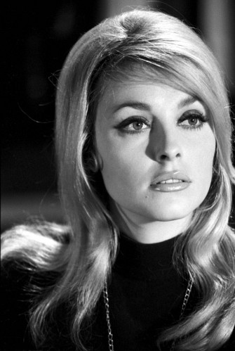 Sharon Tate Classic Sixties Beauty Wallpaper