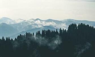 Mountains Clouds Forest Fog HD City Wallpaper Places