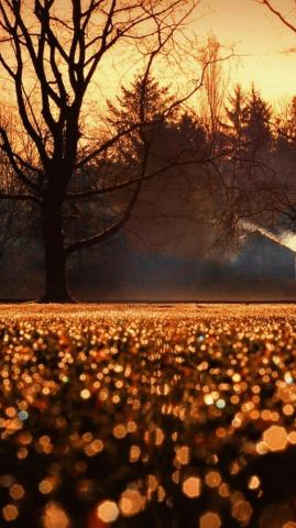 Wallpaper Mobile Fall HD